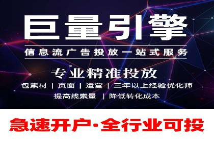 XX领域竞价广告的投放策略及效果展示